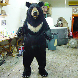 黑熊 Taiwanese Black Bear Suit