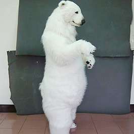 [寫實動物裝] 可口可樂北極熊裝 Coca Cola Polar Bear Suit